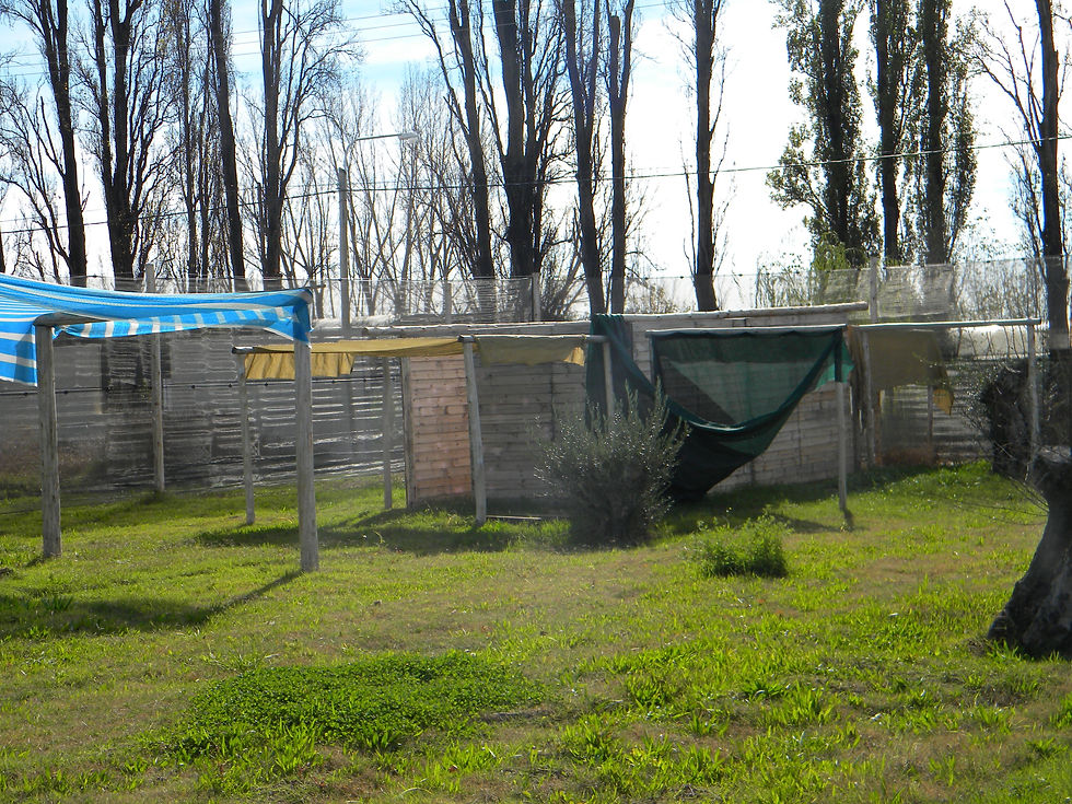 Favela - Vista casas
