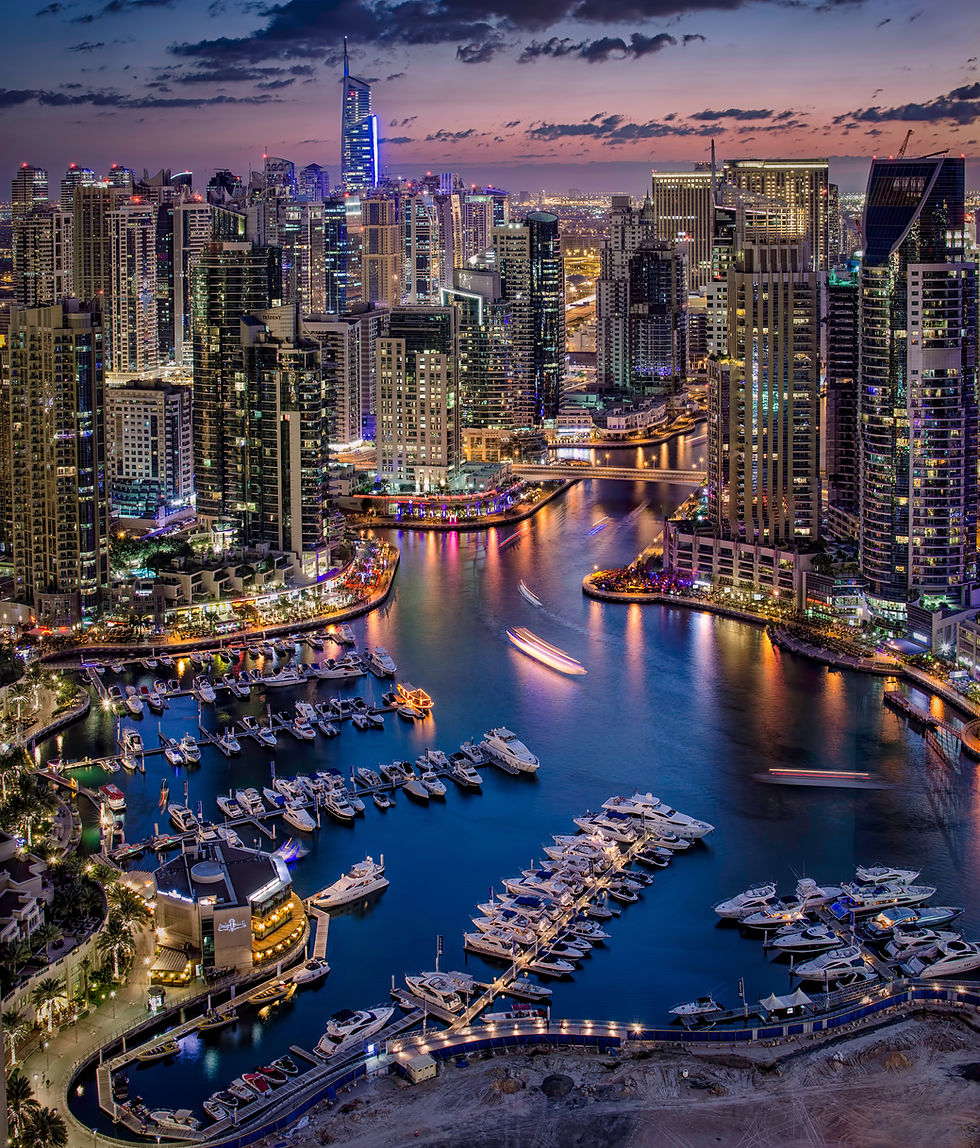 Dubai Marina From The Top.jpg