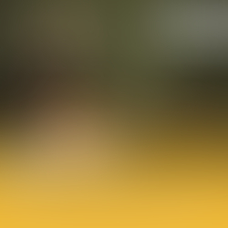 Webinar de Lançamento do AGAARS 2025