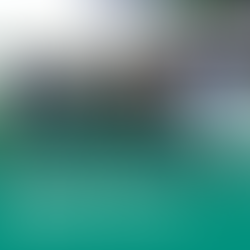 Expansão Escoteira = Microrregião 8