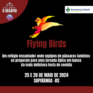 Desafio Sênior Regional 2024 - Base Flying Birds