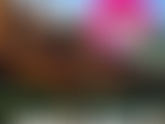 Monte Verde 💚 (11 a 14/08/2026)