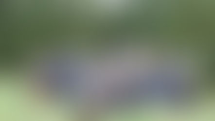 Urschner Jäger setzen sich für den Erhalt der Wildruhezonen ein