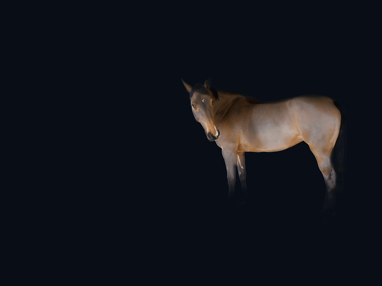 chelsea_horse_colic.png