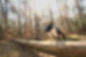 A7406083-Bearbeitet.JPG