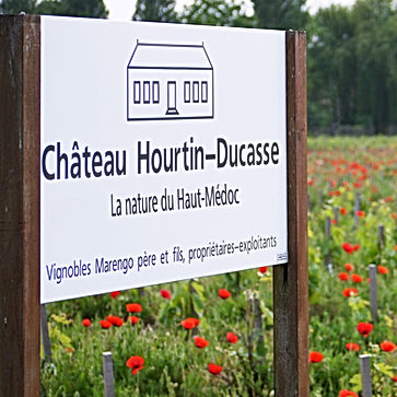panneau et coquelicots au chateau hourtin-ducasse
