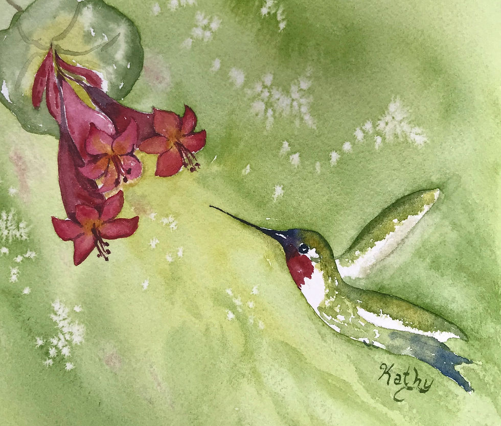 Ruby Thoated Hummingbird