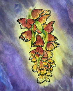 Monarch Glow