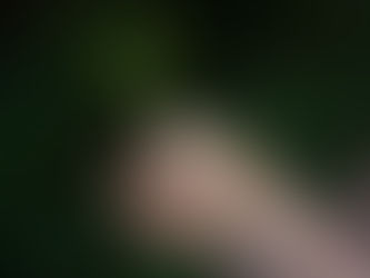 Wildkräuter werden in den Händen gehalten