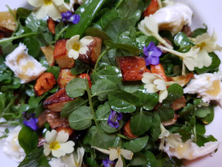 Frühling auf dem Teller