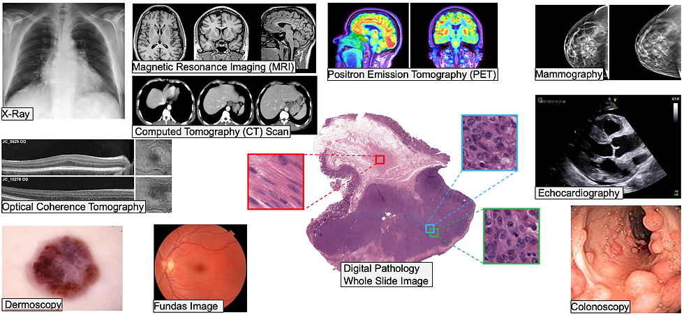 Illustrative examples of diverse medical imaging modalities, including X-ray, MRI, PET, mammography, fundus imaging, dermatology scans, colonoscopy visuals, Echocardiography, and histopathology slides.