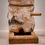 Thumbnail: Vogelfutterspender aus Holz
