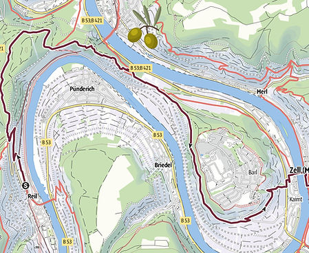 staticmap (2)_edited.jpg