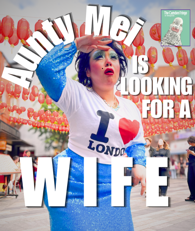 Aunty Mei is Looking for a Wife