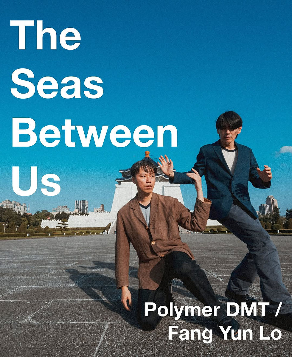THE SEAS BETWEEN US — Polymer DMT / Fang Yun Lo
