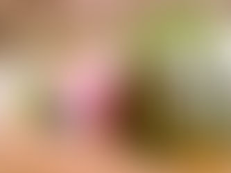 Walking the House: Do Ho Suh and the Homes We Carry With Us