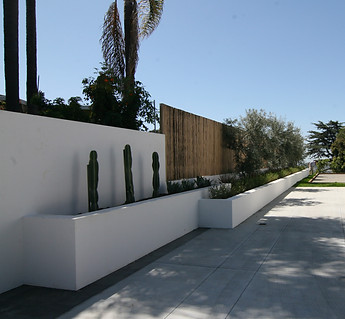 Composition of white planter walls with cacti, olive trees and drought tolerant plants