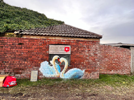 Artist Nikita Spires from Louth creates street art with a purpose to share plight of wildlife