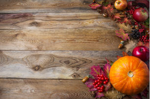 L’automne de la vie