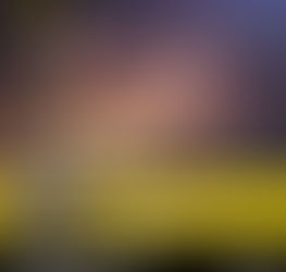 Pronostics du Lundi 1 er Décembre 2025