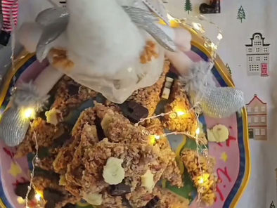 7 Days of Christmas Biscuits - Day 6