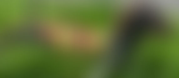 The joy in simple things