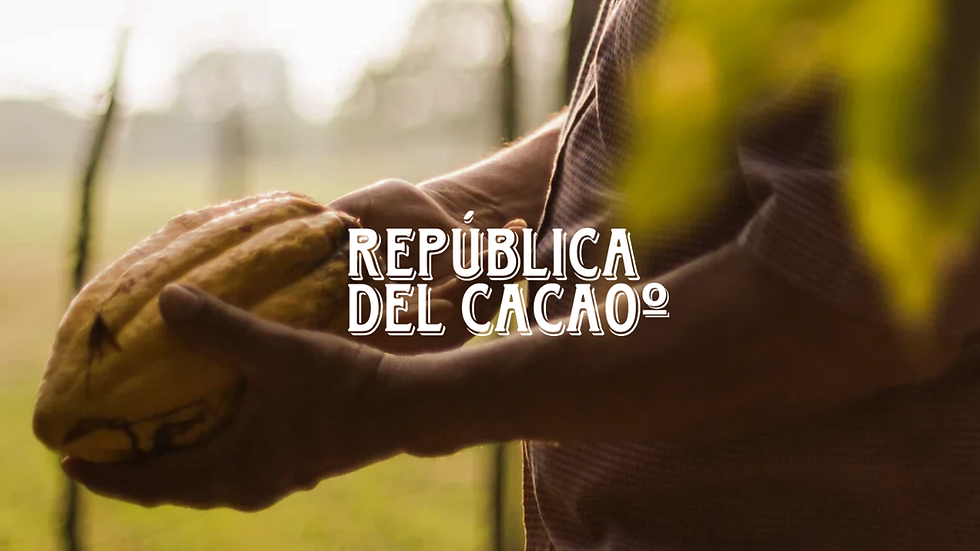 Luxury Chocolate Brand