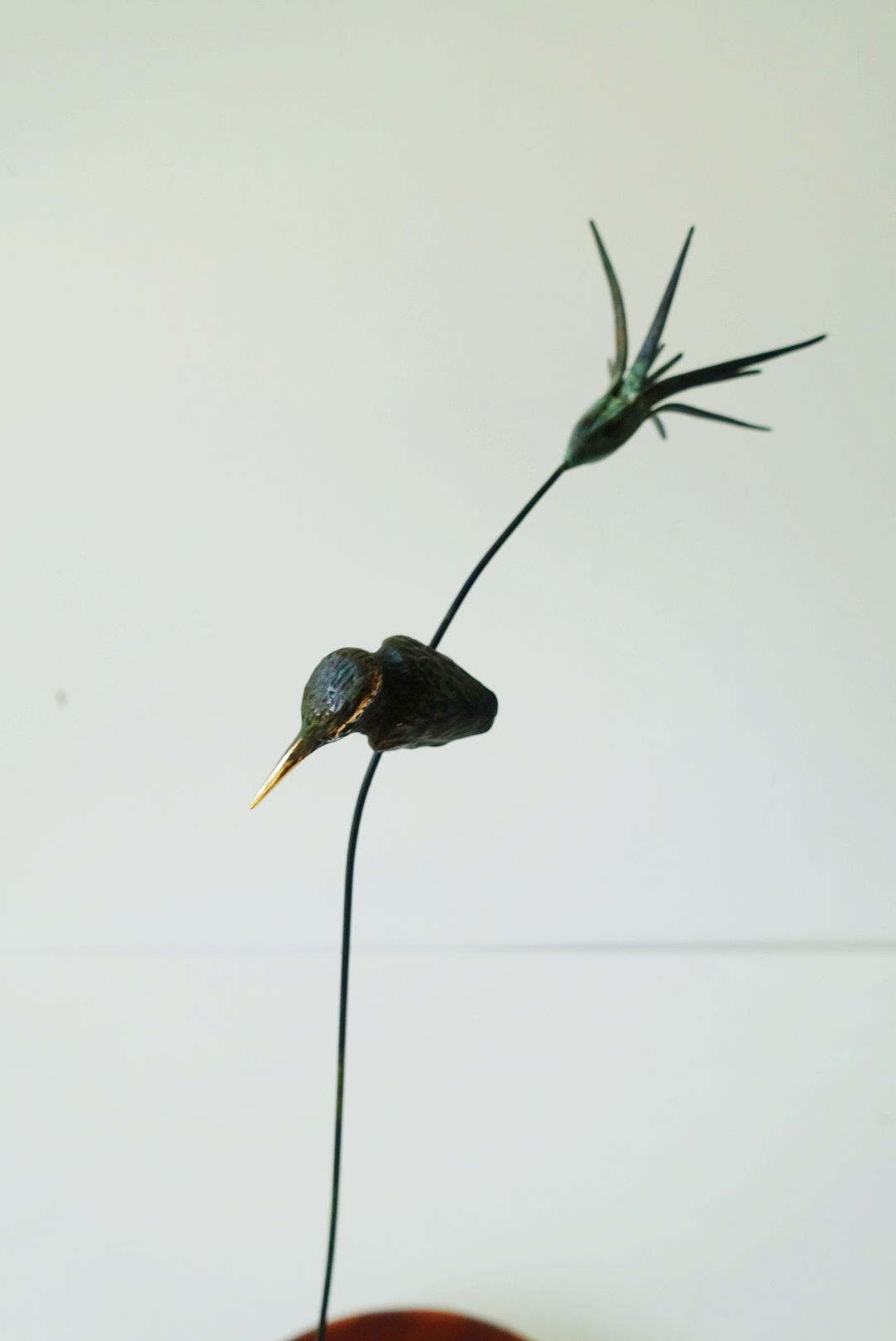 Micro Kingfisher on Papyrus