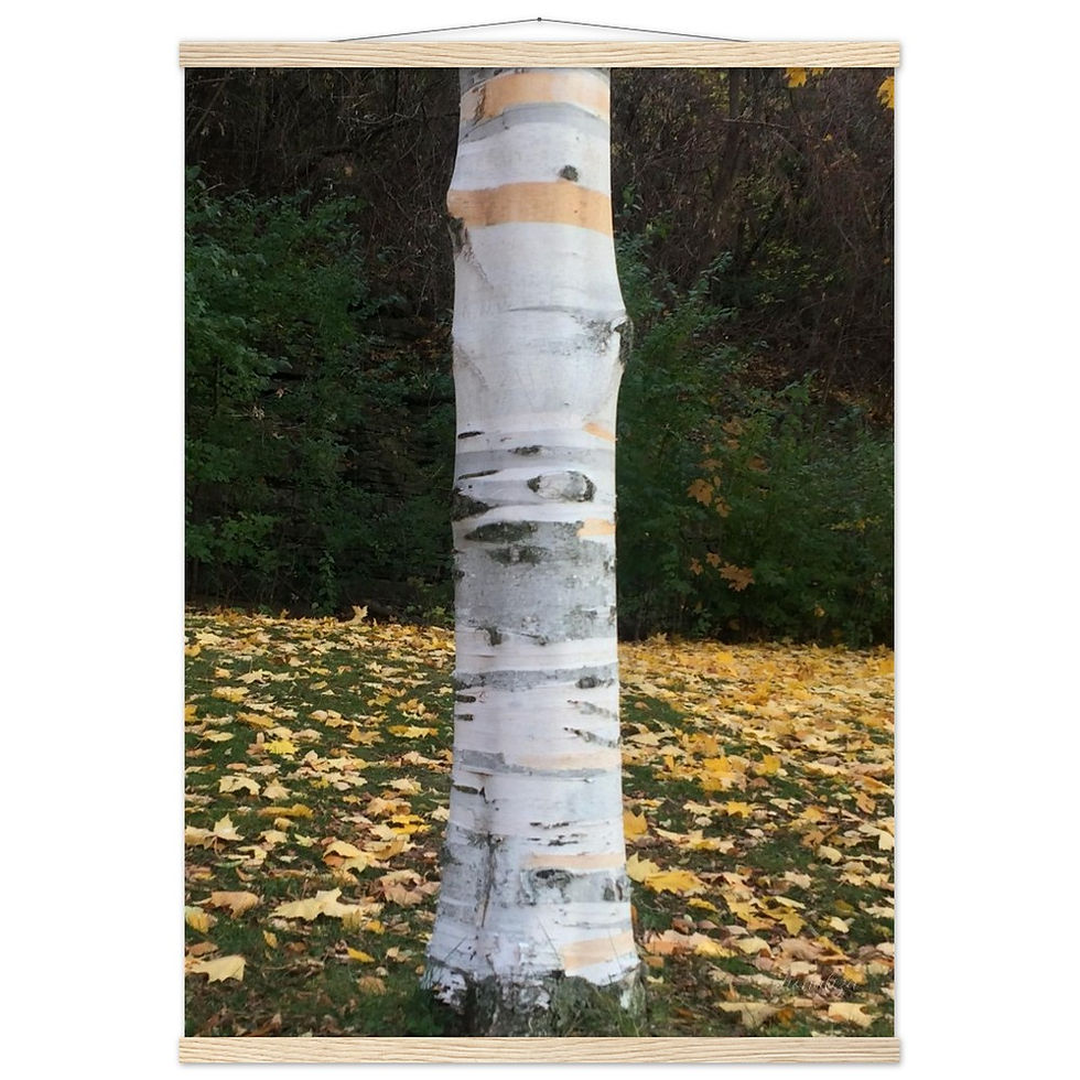 Thumbnail: Sereni-Tree Classic Semi-Glossy Paper Poster with Hanger