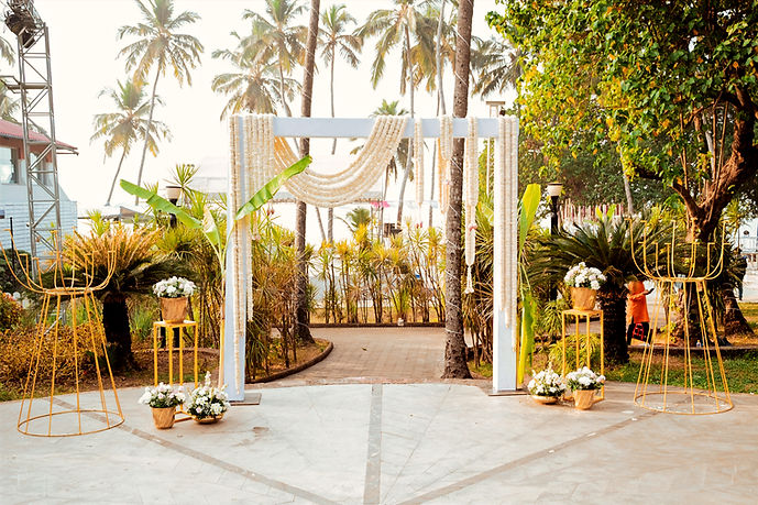 WMN-4 (1)_edited.jpg