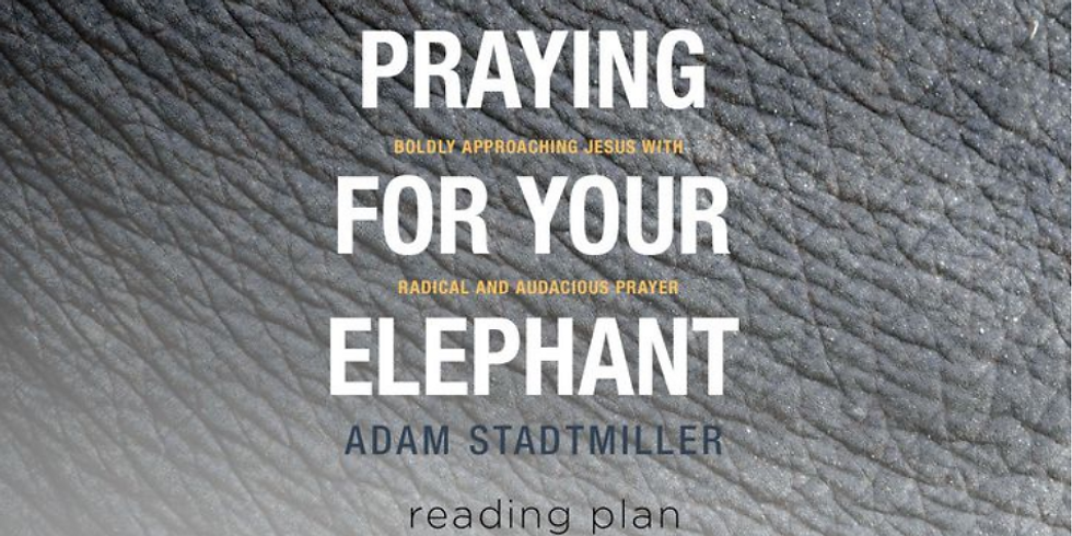 Praying for your Elephant - for LGBT+ and Kinship