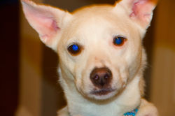 2019-04-29 11 11 13 - Frankie Keane - IM