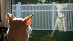 2016-09-04 19 28 41 - Frankie Keane - IM