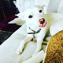 2017-01-06 22 17 14 - Frankie Keane - IM