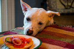 2016-12-26 22 29 59 - Frankie Keane - IM