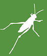 logo-grasshopper-10_edited.jpg