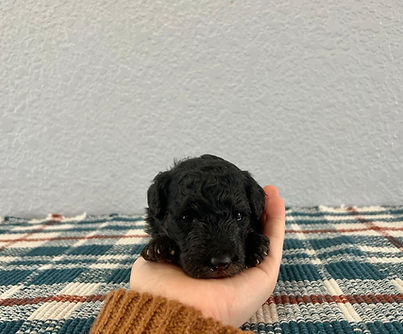 WhatsApp Image 2026-02-25 at 3.26.30 PM (18).jpeg