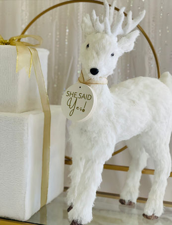 WINTER BRIDAL SHOWER