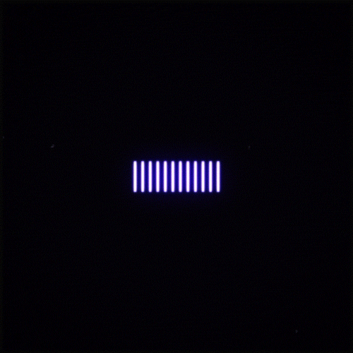 Erica Anderson (2).gif