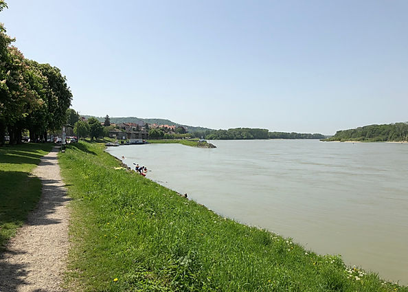 IMG_4511.jpeg