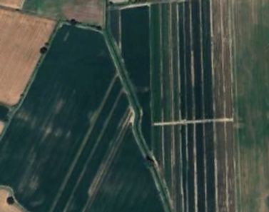 Agrivoltaico provincia di Rovigo