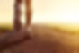 AdobeStock_202180784.jpeg