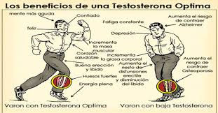 Testosterona – Hormonas del ejercicio