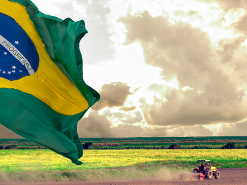 Exportações do agronegócio brasileiro atingem US$ 16,6 bilhões em abril e batem recorde histórico