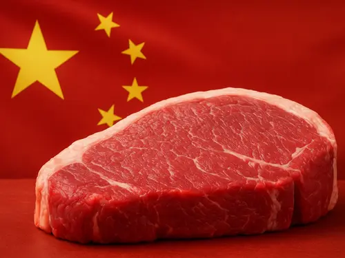 Por que as últimas decisões da China podem transformar a pecuária brasileira nos próximos anos