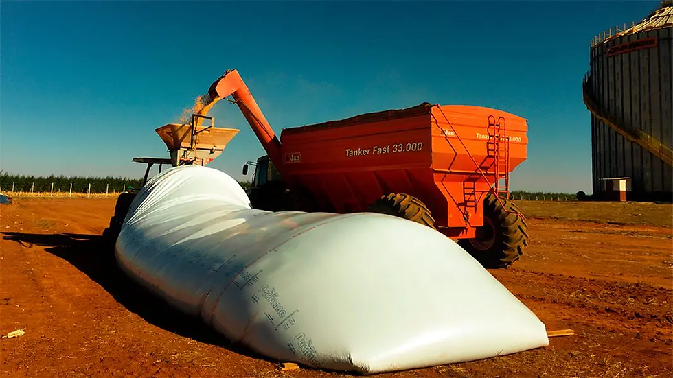 Pós-colheita do milho: novas tecnologias para uma armazenagem mais eficiente