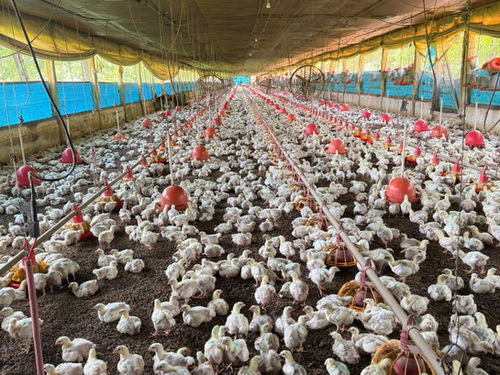 Propriedade Rural otimizada