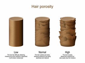 Hair Porosity and Hair Growth: Why Your Hair Grows (or Stalls) Based on Porosity