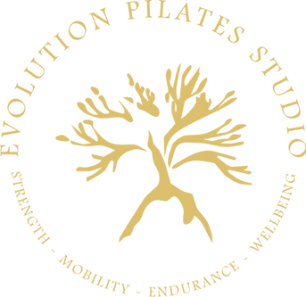 evolution Pilates circle logo