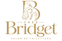 Logo champagne Chez Bridget